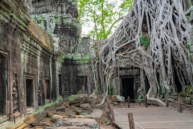 Private Angkor Wat Sunrise Guide Tour include Breakfast and Snack - Angkor Wat after first light