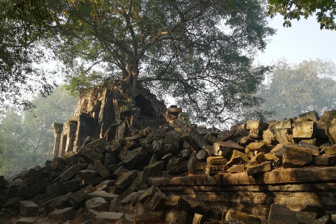 Private Beng Mealea Temple Tour – Hidden Jungle Ruins - Who will get the most from this half-day trip
