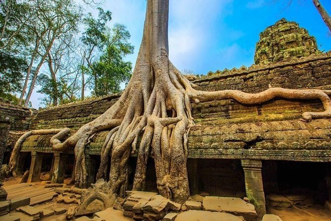 Private Cambodia 5 Days Tour from Siem Reap to Phnom Penh - Day 2: Angkor Thom, Ta Prohm, and Angkor Wat