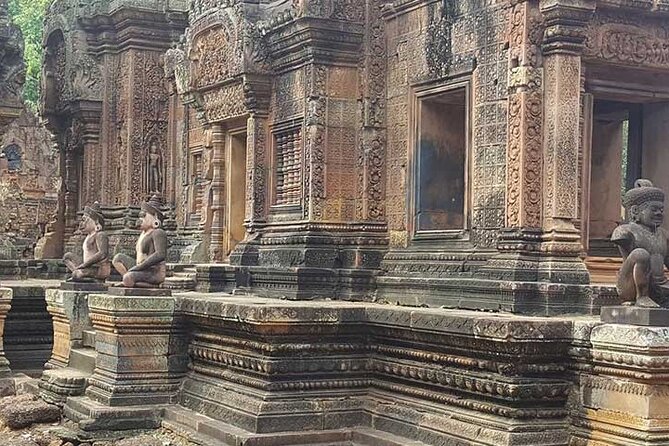 Private Day Angkor Wat Temple and Banteay Srei Temple Tour - Ta Prohm begins the day among tree roots