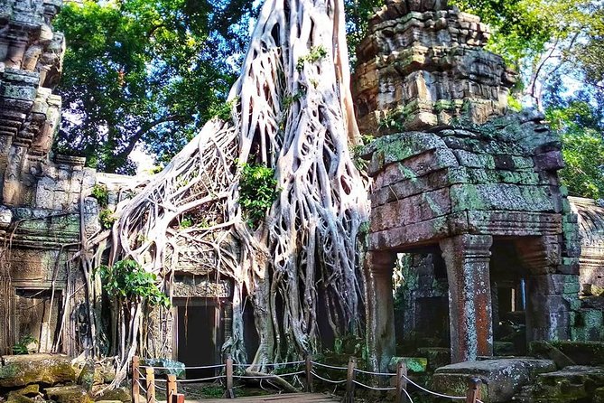 Private Guided Tours-Sunrise Angkor Wat, Ta Prohm, Bayon and more - What the $78 price really covers