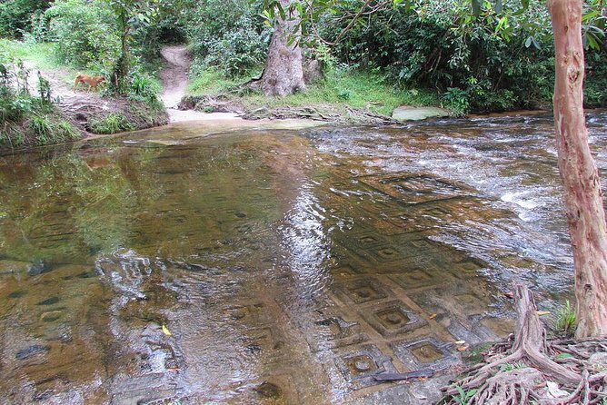 Private Kulen Mountain and Beng Mealea Temple Tour - What the private format is worth at $105.06