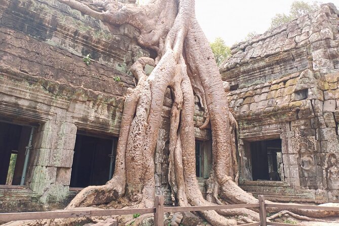 Private One Day Trip-The Best Experience in Siem Reap - Is $80 a good value?