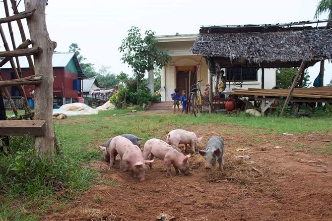 Private Ox Cart Ride and Local village Experience from Siem Reap - What the guide adds