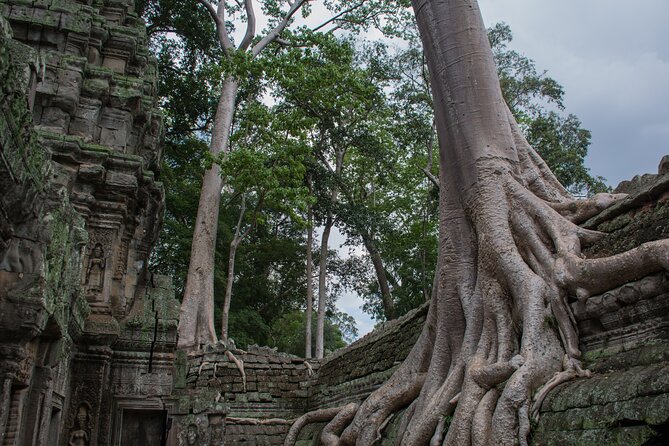 Private Siem Reap Airport Transfer to hotel in town - Finding your driver at Exit Gate 1