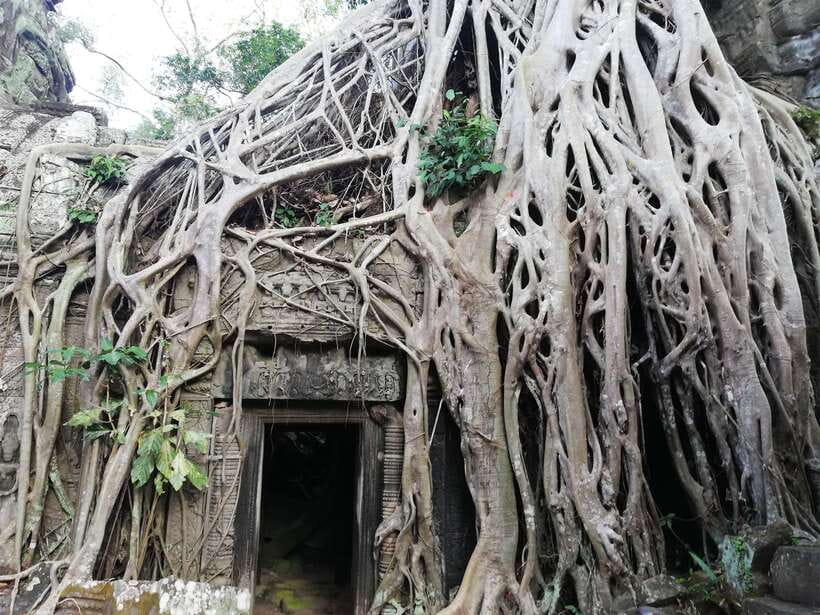 Private Sunrise Angkor Wat Tour - Angkor Thom and the South Gate