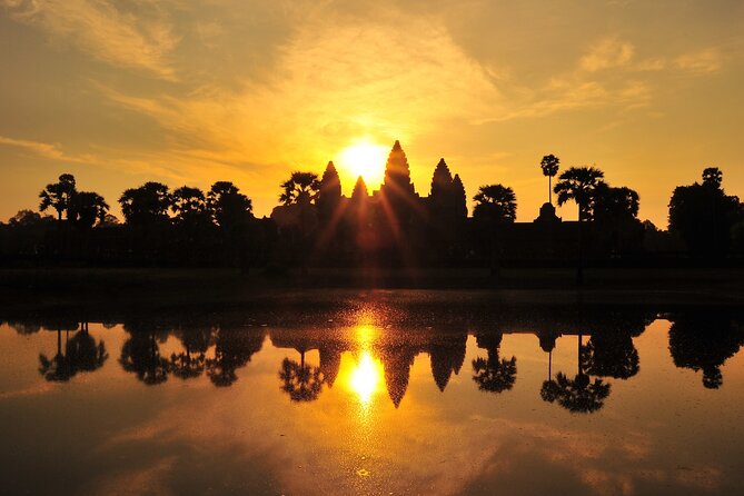 Private Sunrise Angkor Wat Tour with pickup from your hotel - Ta Prohm: roots, ruins, and the Tomb Raider connection