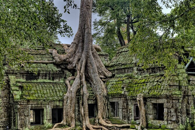 Private sunrise tour to Angkor Wat & other highlights with Professional Guide. - Why this sunrise plan works