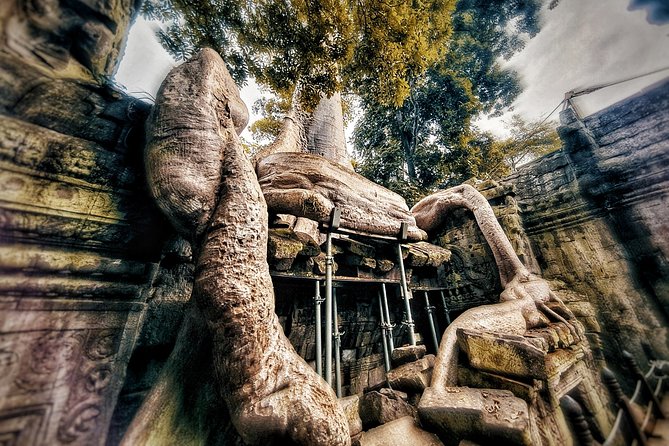 Private sunrise tour to Angkor Wat & other highlights with Professional Guide. - Ta Prohm and the power of atmosphere