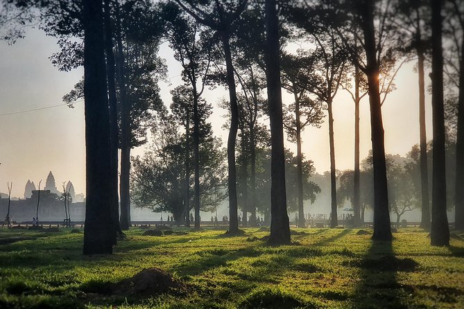 Private sunrise tour to Angkor Wat & other highlights with Professional Guide. - Ta Nei, the quietest stop