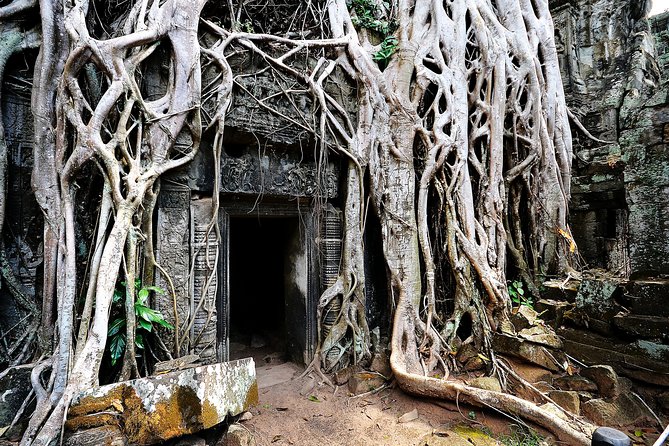 Private Temples Guided Tour (Angkor Wat, Ta Prom & Angkor Thom) - What the private SUV and guide add
