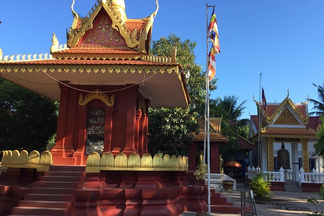 Private Tour: HERO Rats & Angkor National Museum - Four hours with two useful starting times