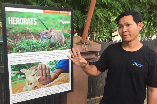 Private Tour: HERO Rats & Angkor National Museum - A sensitive subject handled in a compact format