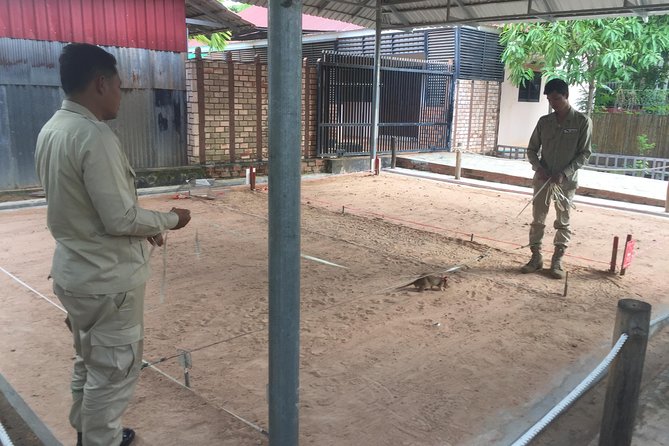 Private Tour: HERO Rats & Angkor National Museum - Practical details before you reserve