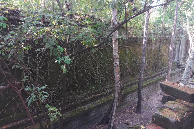 Private Tour to Beng Mealea Jungle Temple and Koh Ker - How guides affect the quality of this day