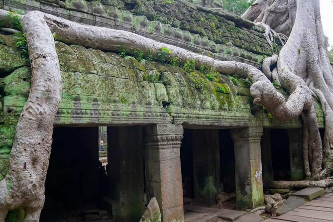 Private Tours Angkor Wat For 3 Days - Guide quality and the practical details