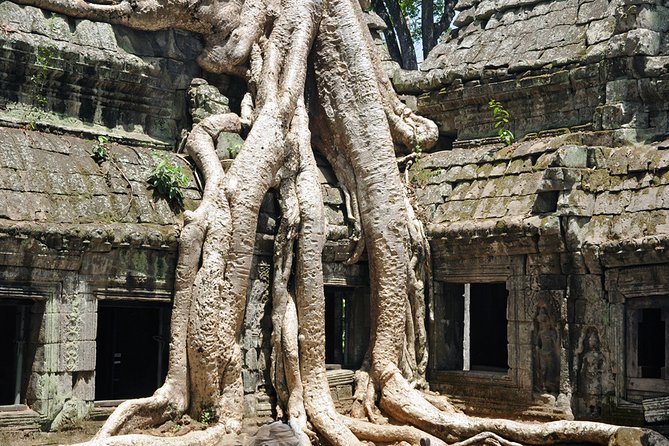 Private Tuk Tuk Tour to Angkor Wat and Small Circle with Two Extras - Why seeing Angkor Wat at both ends of the day helps