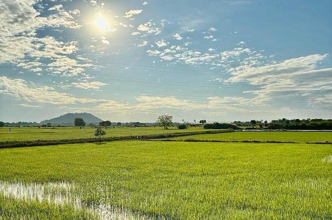 Rural Countryside Experience Tour in Siem Reap - Rice wine distillation and a taste of local tradition