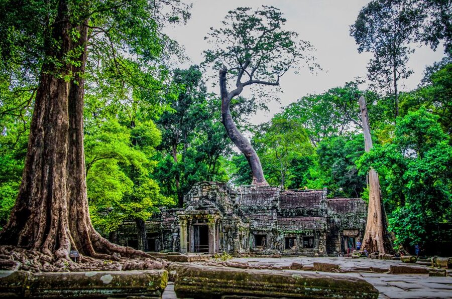 Seat-In-Coach: Small Circuit tour with Sunrise at Angkor Wat - Ta Prohm, trees, and Tomb Raider fame