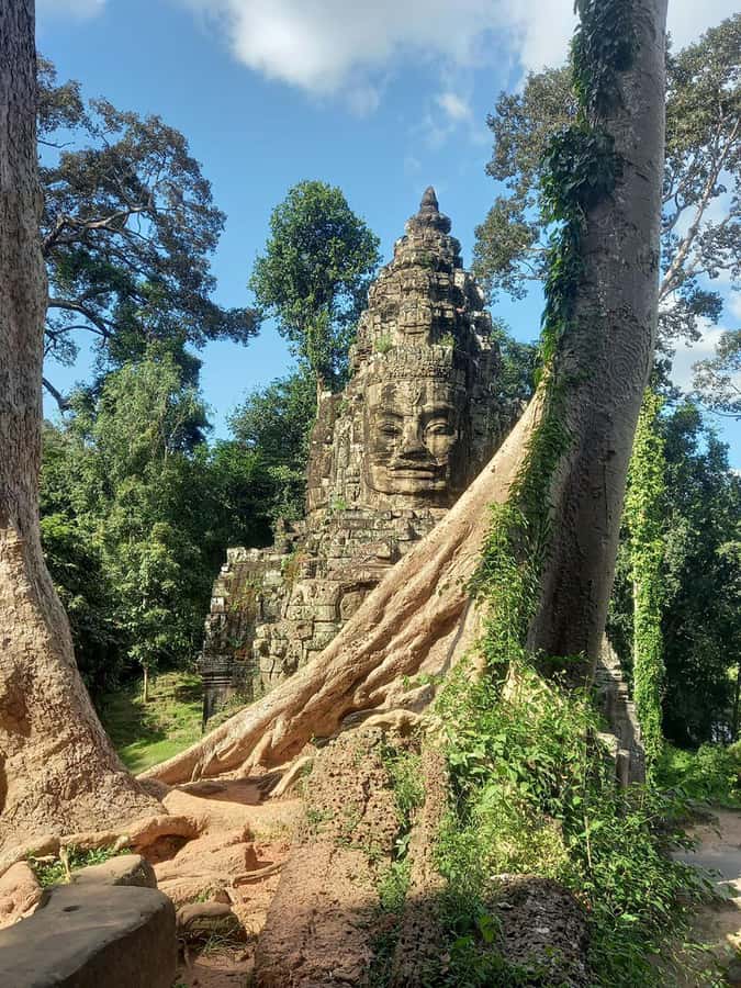Shared day tour with Spanish-speaking guide at Angkor Temple. - Why this Angkor route works for a first visit