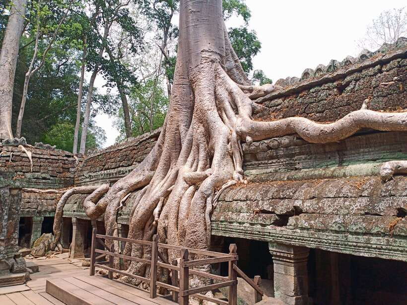 Sharing Trip to Angkor Temple with sunset - Angkor Wat: begin with Cambodia’s great symbol