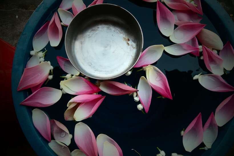 Siem Reap: 1-Hour Cambodian Buddhist Water Blessing - What this Siem Reap blessing really offers