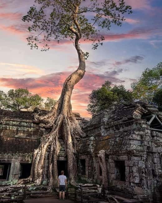Siem Reap: 2-Day Private Angkor Wat & Angkor Temples Tour - Day 1: Bayon faces, royal terraces, and Ta Prohm