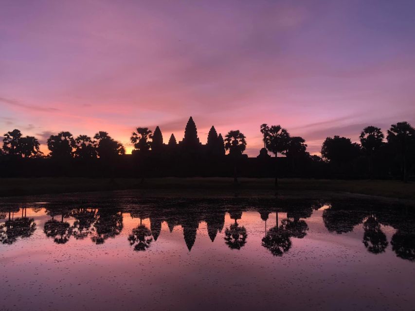 Siem Reap: 2-Days Angkor Wat with Sunrise Small-Group Tour - Ta Prohm and the power of a tree-covered ruin