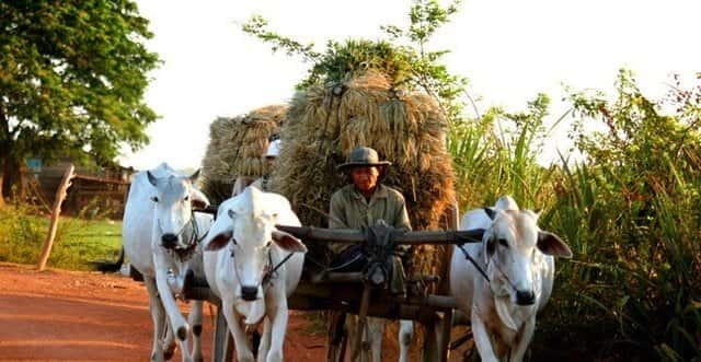 Siem Reap: 3-Hour Ancient Trails Motorbike Tour - Leaving Siem Reap behind on two wheels