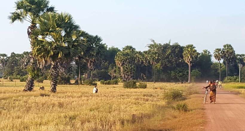 Siem Reap: 3-Hour Ancient Trails Motorbike Tour - Dirt tracks through villages and rice fields