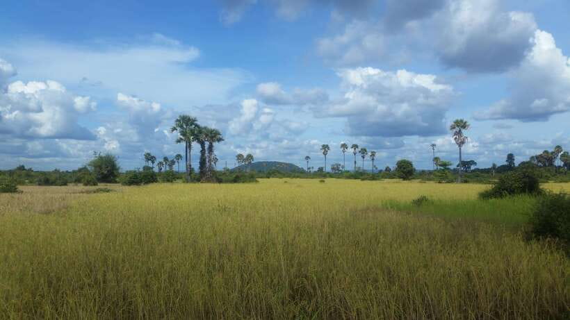 Siem Reap: 3-Hour Ancient Trails Motorbike Tour - What the guide adds to the ride