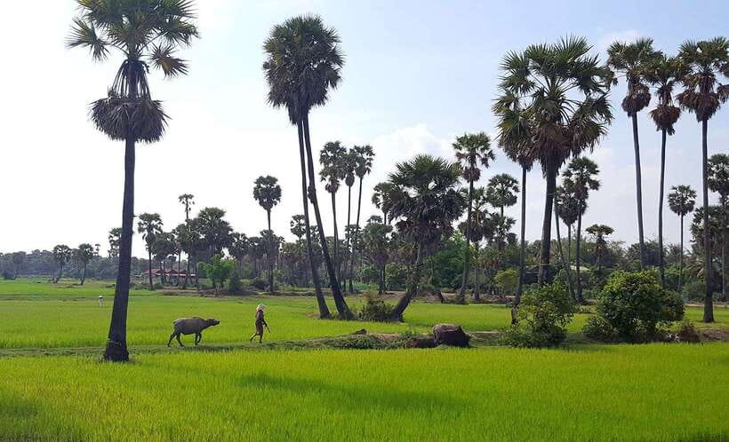 Siem Reap: 3-Hour Ancient Trails Motorbike Tour - Is $44 good value for three hours?