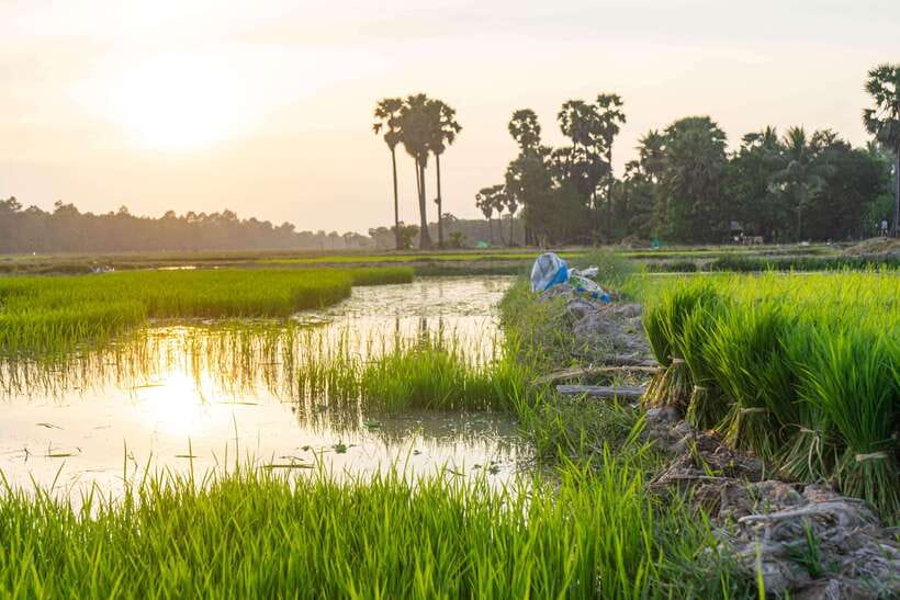 Siem Reap: Afternoon Cooking Class & Village Tour - Learning simple home-style Khmer cooking