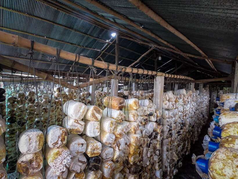 Siem Reap: Afternoon Cooking Class & Village Tour - Taking the recipes home