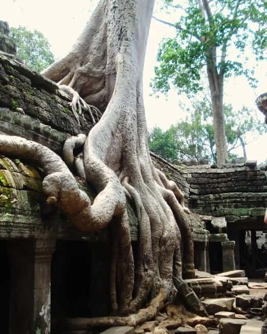 Siem Reap: Angkor 1-Day Private Tour with Sunset or Sunrise - Phnom Bakheng sunset: a worthwhile finale with conditions