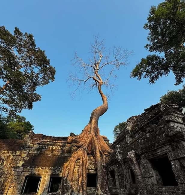 Siem Reap: Angkor 1-Day Private Tour with Sunset or Sunrise - Choosing between sunrise, sunset, and two days