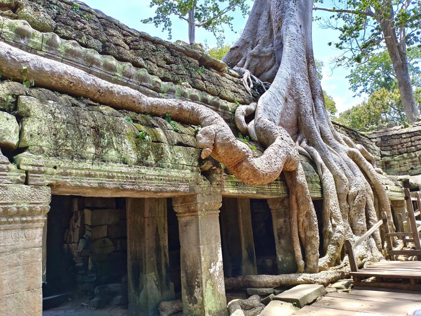 Siem Reap: Angkor Sunrise 1- or 2-Day Guided Temples Tour - Should you book this Angkor tour?