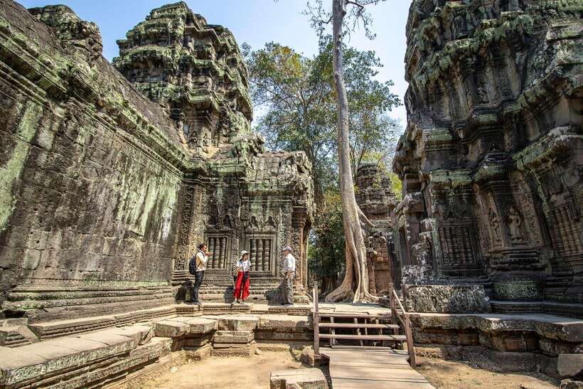 Siem Reap: Angkor Sunrise Private Tour - World Heritage Site - Ta Prohm and the appeal of weathered stone