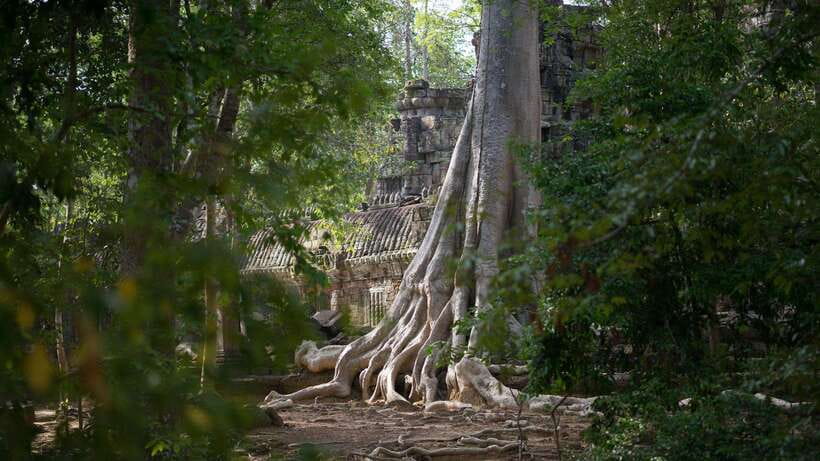 Siem Reap: Angkor Temples Off-Track Bicycle Tour - Angkor Thom and the South Gate