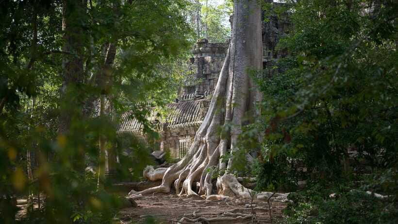 Siem Reap: Angkor Temples Off-Track Bicycle Tour - Ta Keo closes the temple route with a change of scale