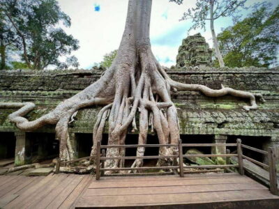 Angkor Wat Admission Ticket