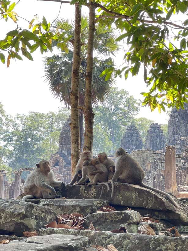 Siem Reap: Angkor Wat Private full Day Tour - Bayon’s maze of stone faces