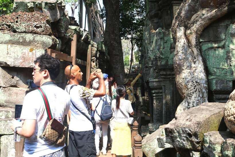 Siem Reap: Angkor Wat: Small-Group Sunrise Tour - Ta Prohm and its tree-covered corridors
