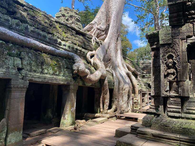 Siem Reap: Angkor Wat Sunrise and Full-Day Sightseeing Tour - Why the sunrise at Angkor Wat is worth the alarm