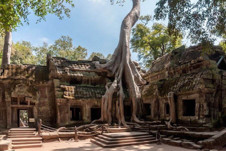 Siem Reap: Angkor Wat Sunrise and Full-Day Sightseeing Tour - The real cost of a $14 Angkor tour