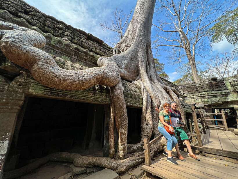Siem Reap: Angkor Wat Sunrise and Market Tour by Jeep - Ta Prohm, where the jungle takes over