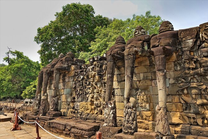 Siem Reap: Angkor Wat Sunrise Bike Tour & Jungle Breakfast - Ta Prohm and the trees in the ruins