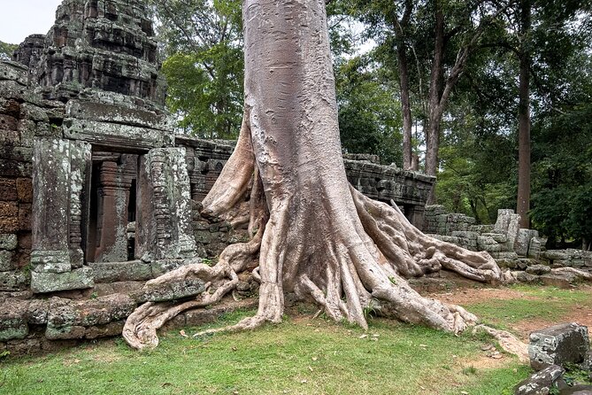 Siem Reap: Angkor Wat Sunrise Bike Tour & Jungle Breakfast - The ride: beautiful, but not effortless