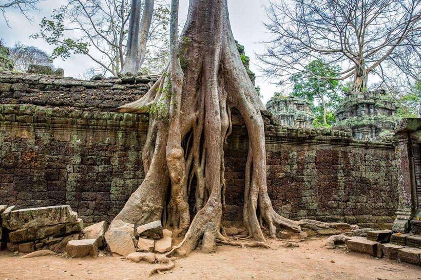 Siem Reap: Angkor Wat Sunrise Tour With Small Group - Bayon’s stone faces are the visual centerpiece