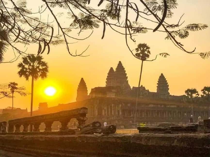 Siem Reap: Angkor Wat Sunrise Tour with Spanish Guide - Ta Prohm, where trees become part of the ruins